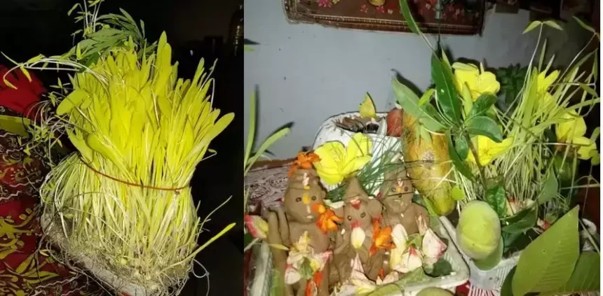 ‘हरेला’ यानी हरियाली, सुख-समृद्धि का प्रतीक है ये खास पर्व, जानिए इसकी मान्यता