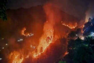 अल्मोड़ा के बिनसर वनाग्नि हादसे में एम्स में भर्ती एक और वनकर्मी ने तोड़ा दम, छह हुई मृतकों की संख्या