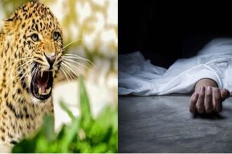 उत्तराखंड: गुलदार ने बनाया किशोर को निवाला, इस हालत में मिला शव