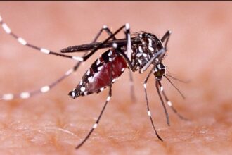 जिला प्रशासन ने डेंगू की रोकथाम के लिए किया कंट्रोल रूम स्थापित 