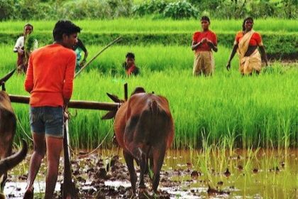 भारतीय कृषि का अमृतकाल