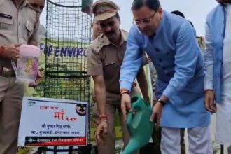 सीएम धामी ने भराड़ीसैंण में एक पेड़ मां के नाम अभियान के तहत किया वृक्षारोपण