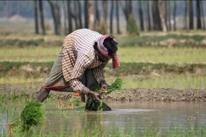 छोटे किसान खाद्य सुरक्षा की सबसे बड़ी ताकत