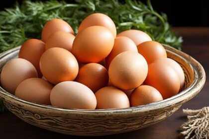 अंडा, हाई क्वालिटी प्रोटीन का नेचुरल सोर्स