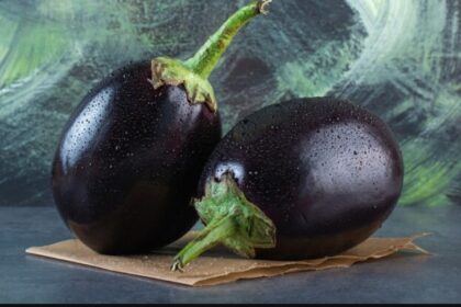 7 लोग बैंगन को तुरंत कर दें टाटा-बाय-बाय…वरना बिगड़ जाएगी सेहत