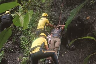 दून-मसूरी मार्ग पर खाई में गिरी कार, दो की मौत